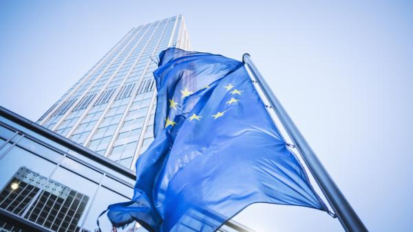 BCE : les faucons ne volent pas avec les colombes