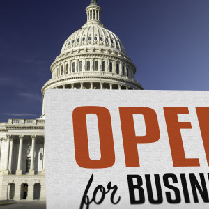 De l’art du blocage ou du non-blocage budgétaire