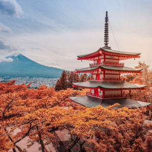 Une semaine pas comme les autres…