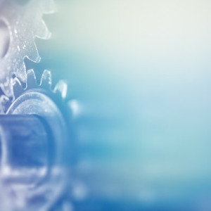 Rapport d'impact 2025