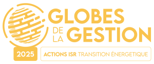Gobes de la gestion